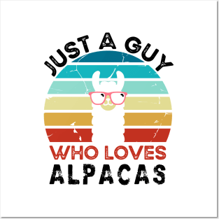 Just a guy who loves alpacas Posters and Art